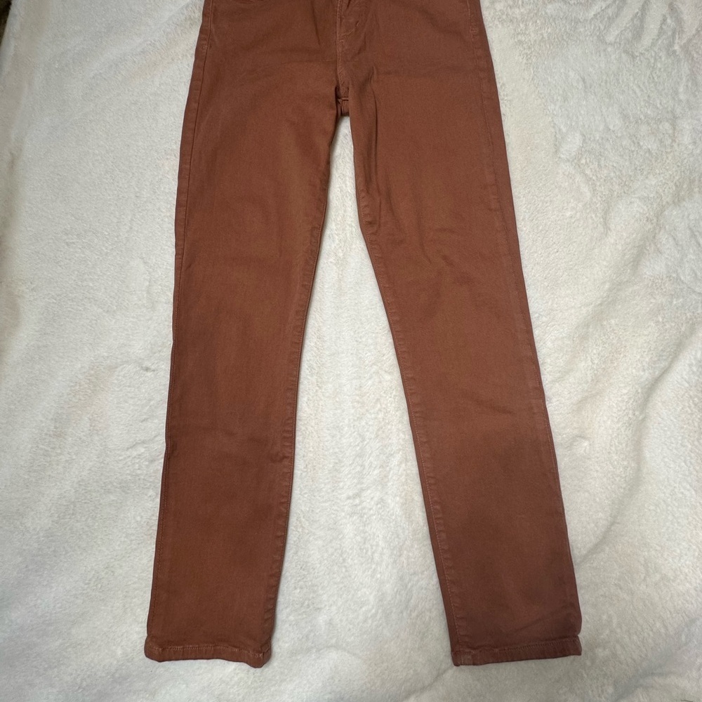 Citizens Of Humanity Skinny Pants in Rust
